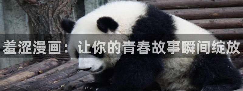 香蕉绯闻漫画