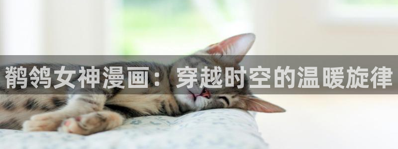 香蕉漫画 在线观看