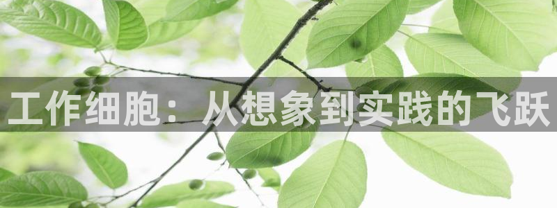 香蕉文化漫画破解版