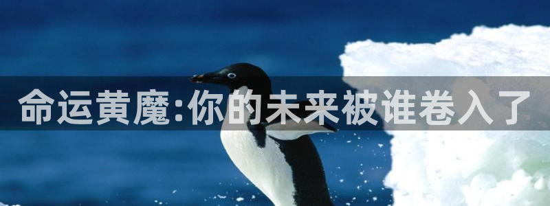 香蕉文化漫画书免费阅读下拉式最新资源丰富