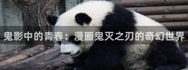 香蕉漫画app入口