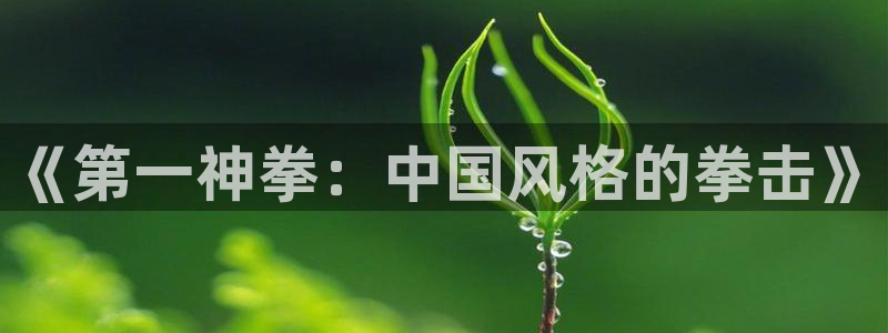 韩国漫画香蕉漫画：《第一神拳：中国风格的拳击》