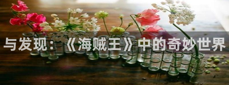 香蕉文化漫画书官方入口：与发现：《海贼王》中的奇妙世界