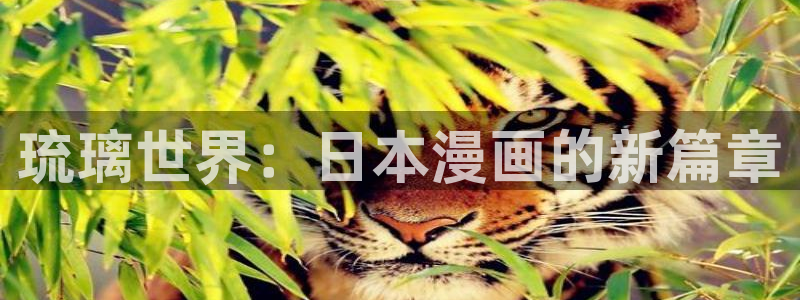 香蕉文化漫画怎么进：琉璃世界：日本漫画的新篇章