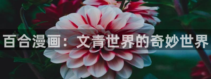 香蕉文化免费漫画在线阅：百合漫画：文青世界的奇妙世界