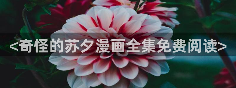 香蕉漫画软件：<奇怪的苏夕漫画全集免费阅读>