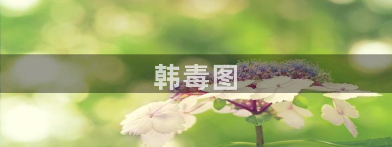 香蕉漫画sss：韩毒图