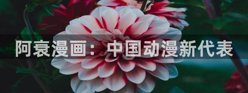 香蕉漫画网入口：阿衰漫画：中国动漫新代表