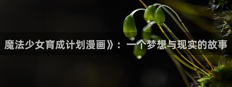 香蕉漫画漫画：魔法少女育成计划漫画》：一个梦想与现实的故事