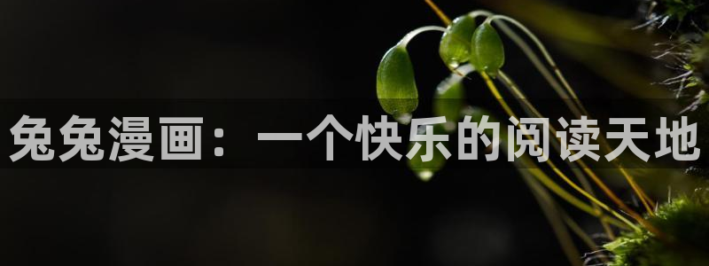 香蕉文化免费阅读漫画的：兔兔漫画：一个快乐的阅读天地