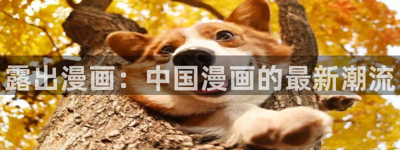 香蕉,漫画：露出漫画：中国漫画的最新潮流